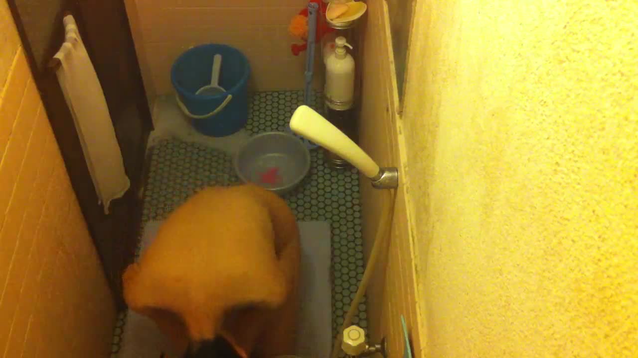 private house bath,housewife(saori sugimoto) spycam 2